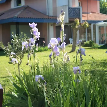 Bed & Breakfast Helianthe Audenge