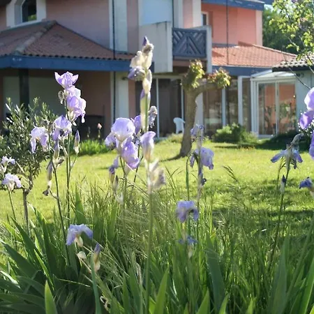 Bed and breakfast Helianthe Audenge