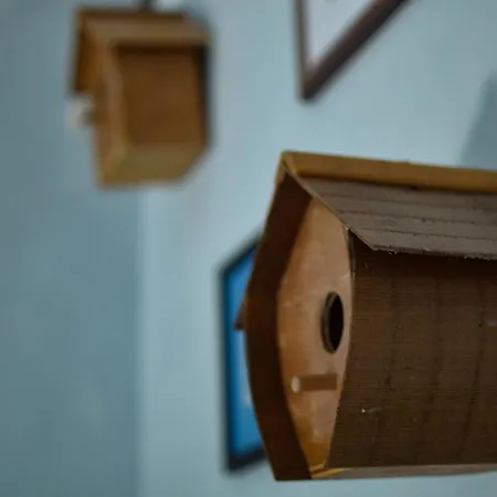 לינה וארוחת בוקר Helianthe 3*