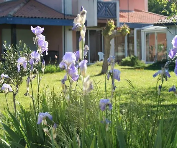 Bed & Breakfast Helianthe Audenge