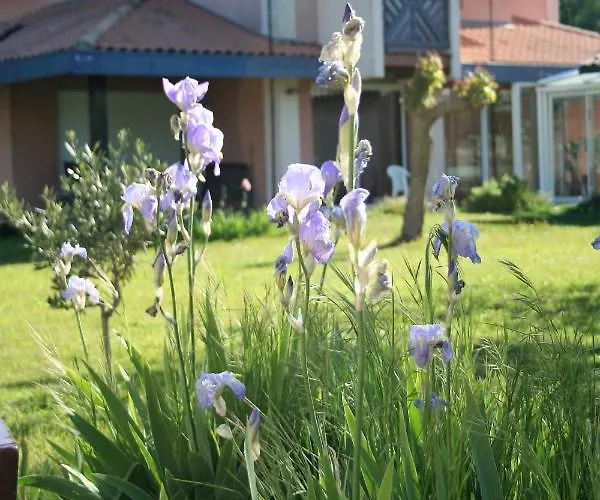 Bed & Breakfast Helianthe Audenge