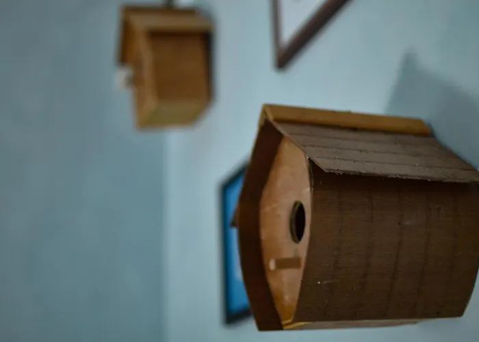 Bed & Breakfast Helianthe 3*